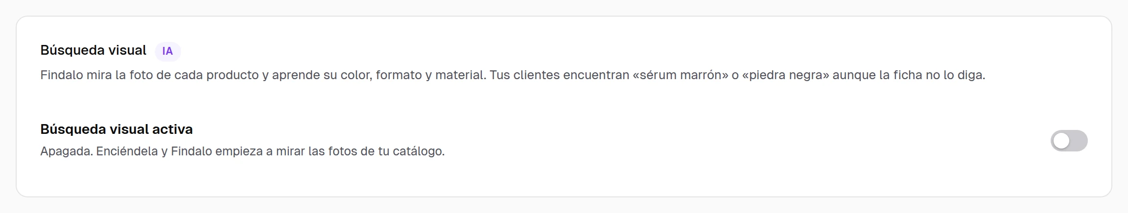Panel de findalo: tarjeta «Búsqueda visual» con su interruptor para activarla